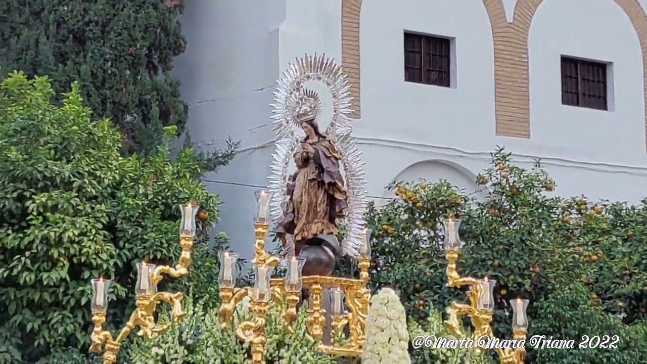 Vídeos de la Procesión de la Inmaculada de Pura y Limpia del Postigo de Sevilla